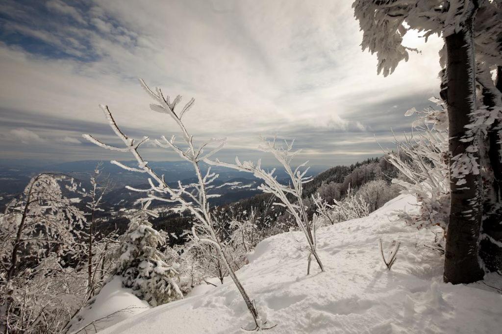 Penzion Stefanshof Kremnica Buitenkant foto
